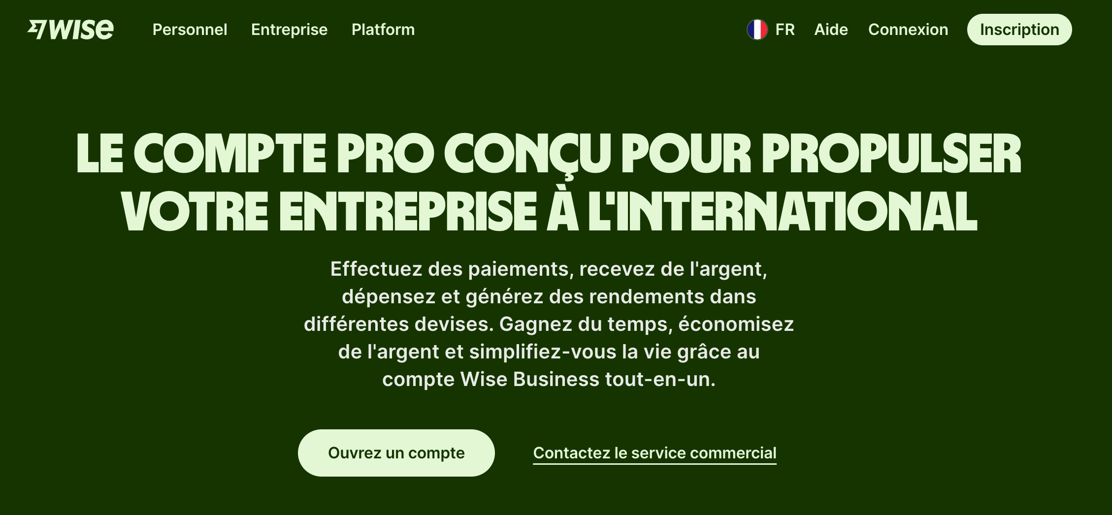 Page d'accueil de Wise Business